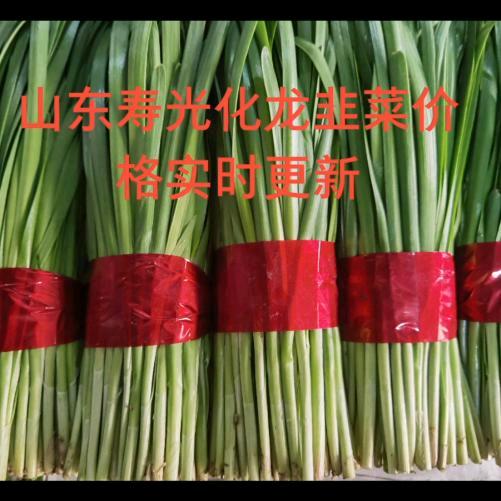 效明蔬菜