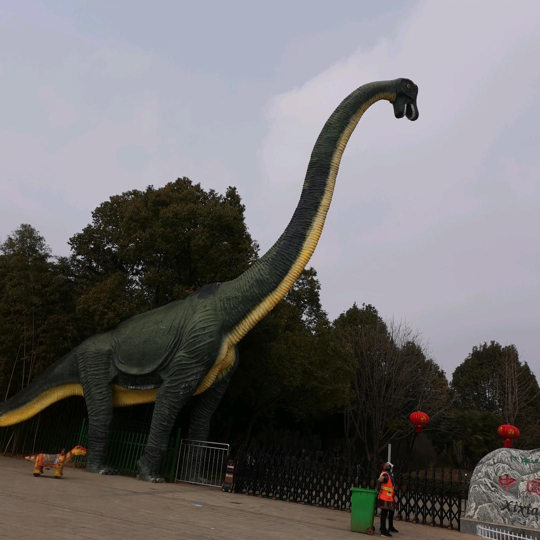 期待