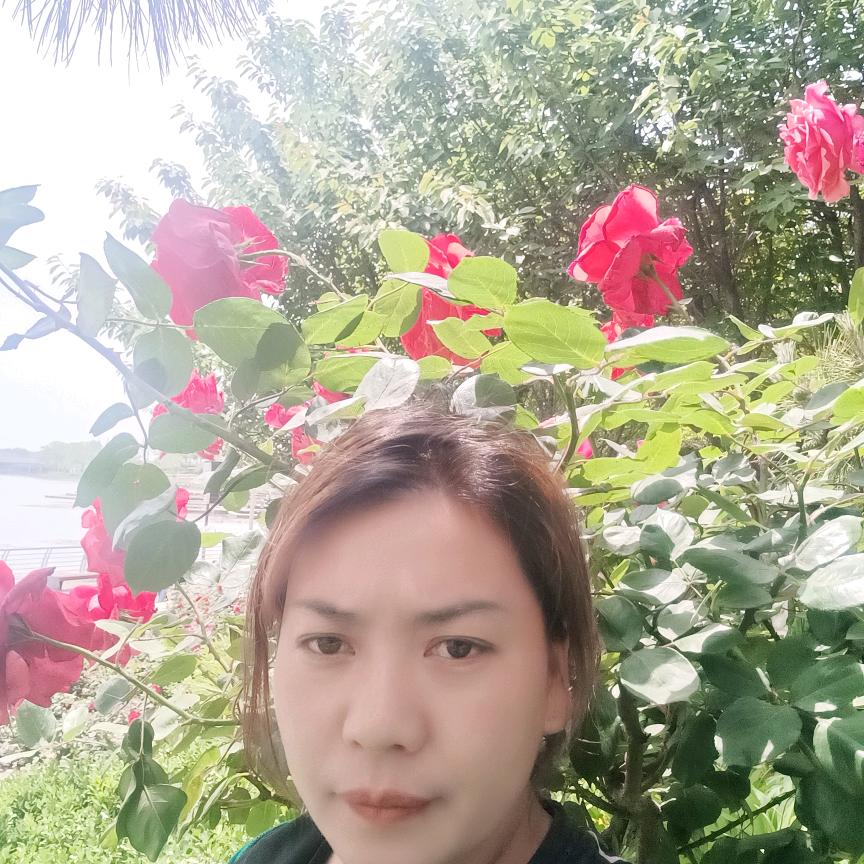 好物大分享