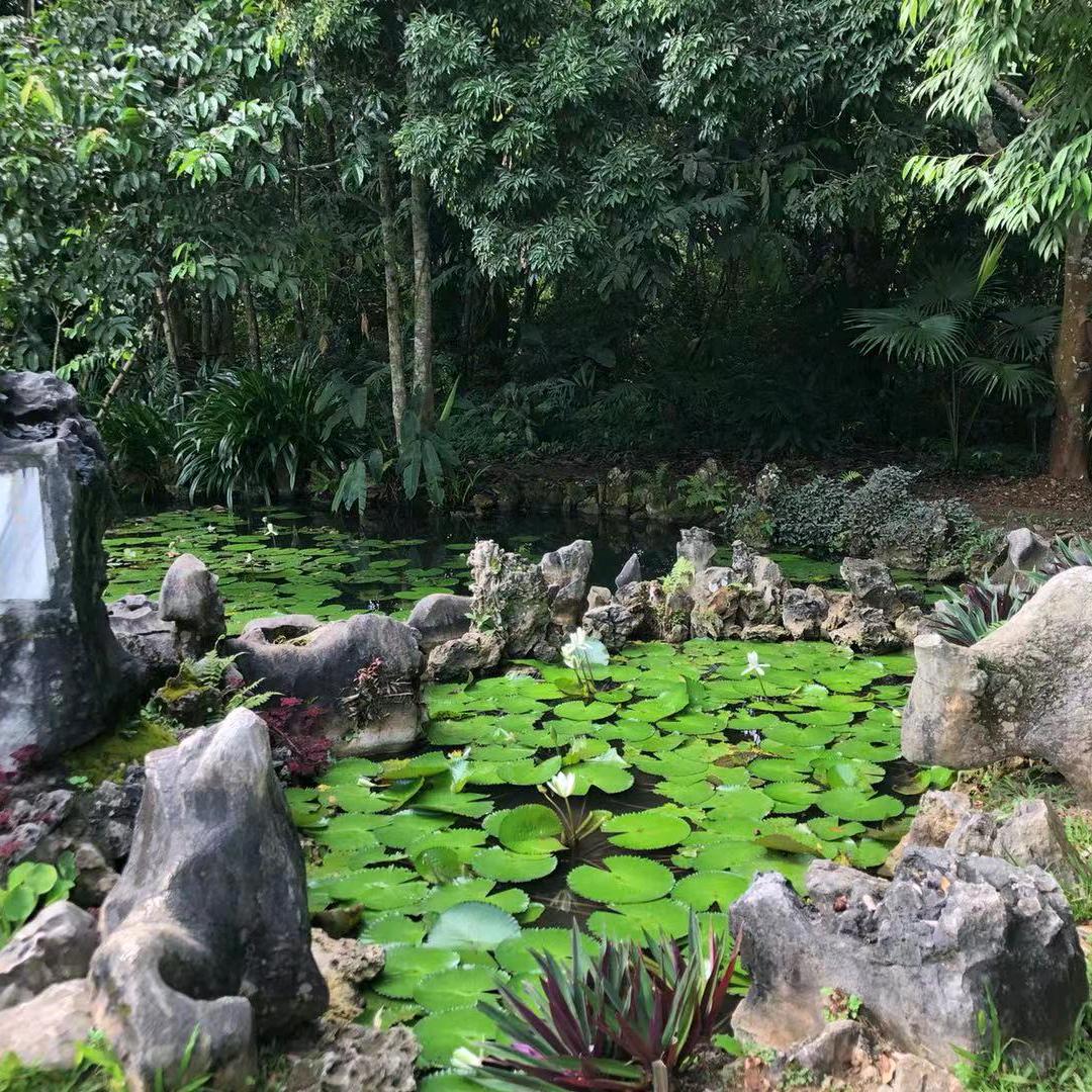 依恋