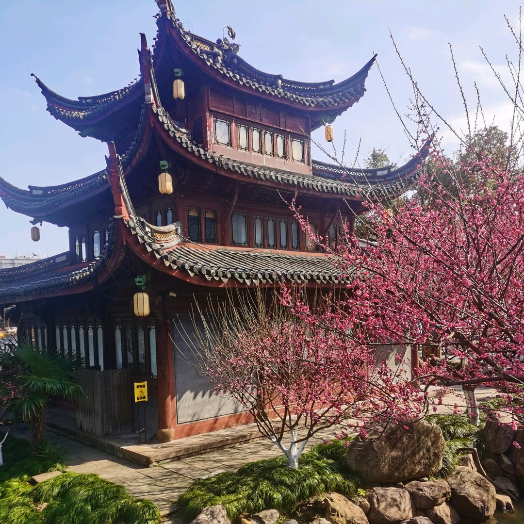 于哥（8015粉点）