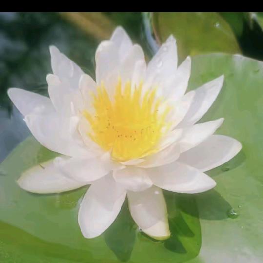 @余生我想和真诚的朋友相识