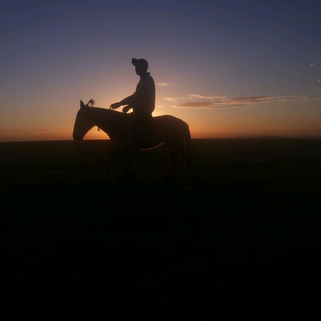 奶皮子源头供应链