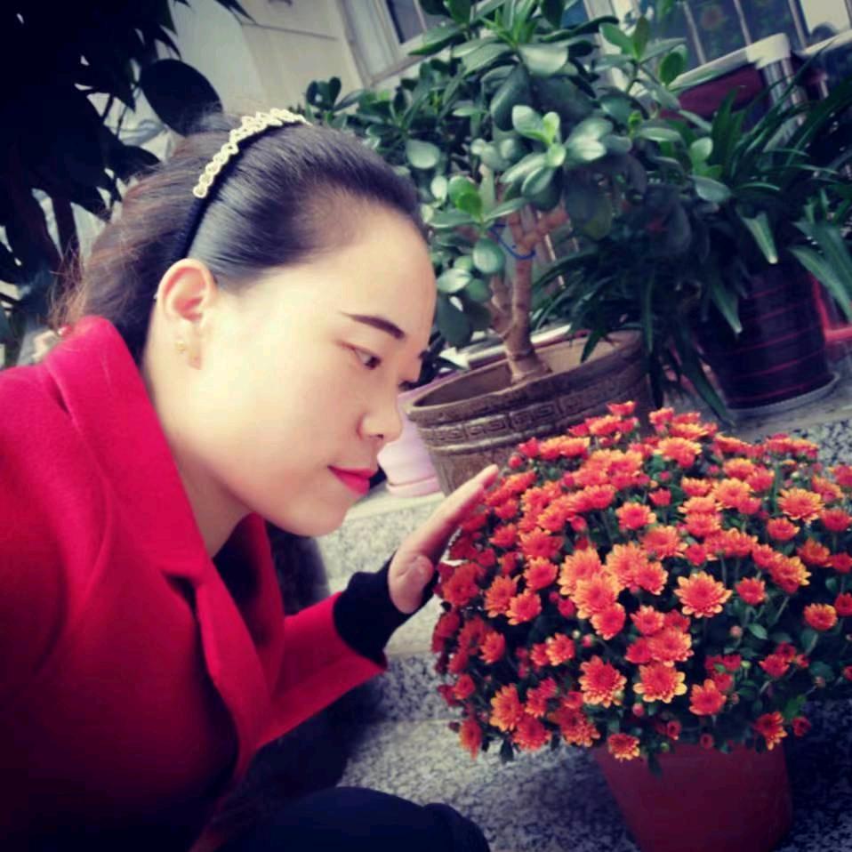 🍃🌾ꦿ紫ེ🎋丁🍂᭄香ོഒᩚ࿐