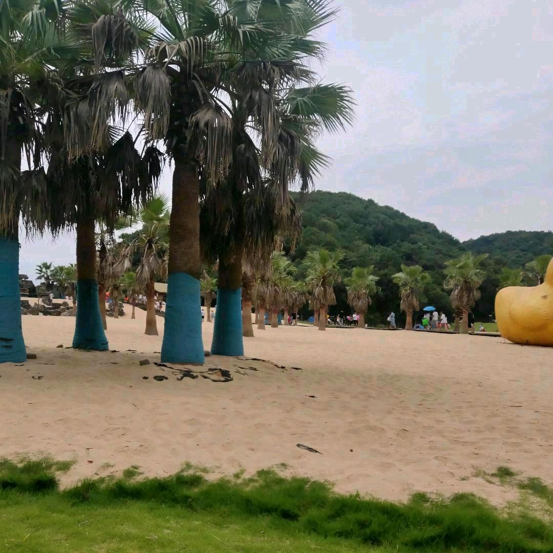 帅帅的