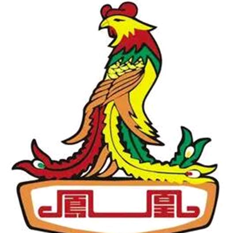 凤凰齐宇童车专卖店