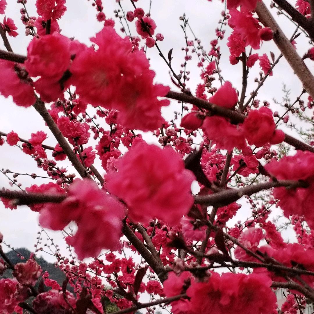 芳姐，谢谢关赞