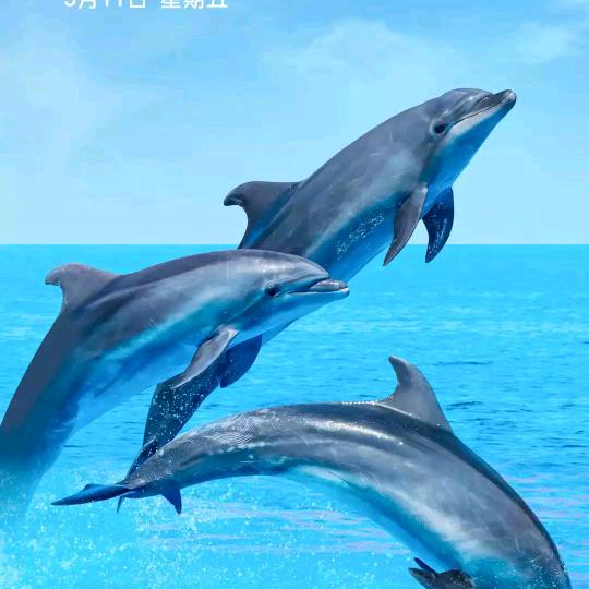 海心