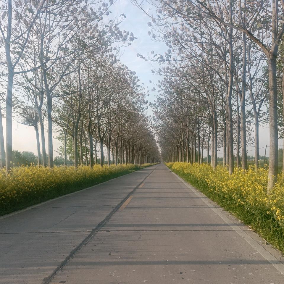 @开熊猫🐼卡丁的~小姐姐