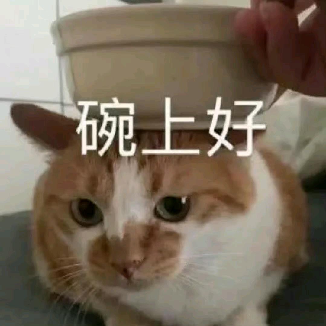 瑾