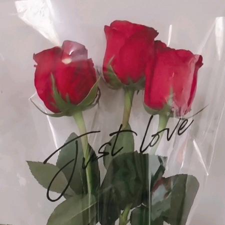 柠檬滴心酸