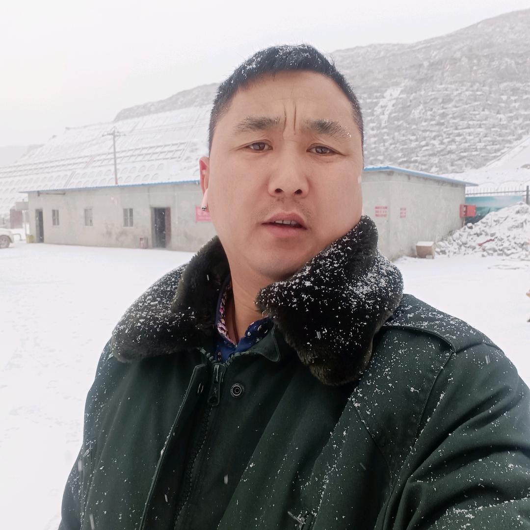菩提本无树