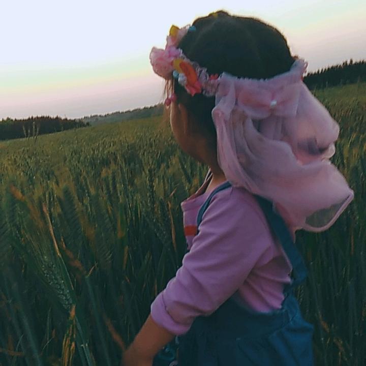 愤怒😇的小鸟😜