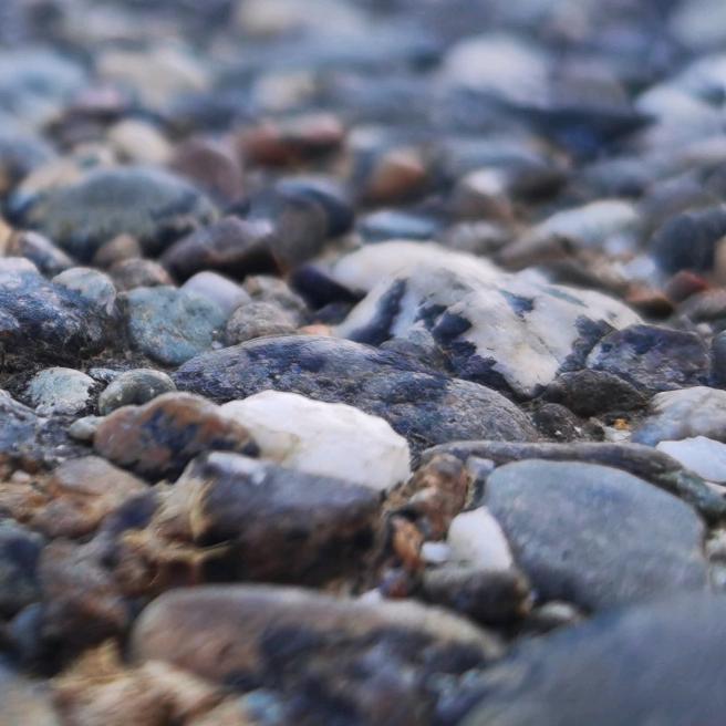 魔鬼派来的天使