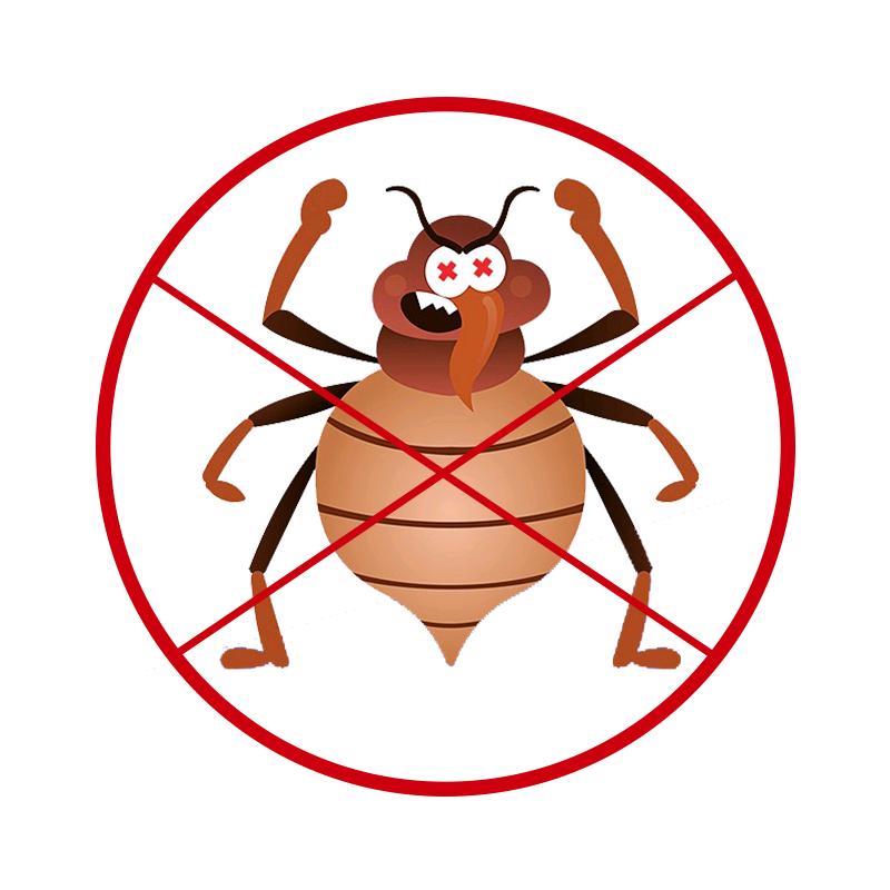 灭虫哥*清洁（商品在橱窗）