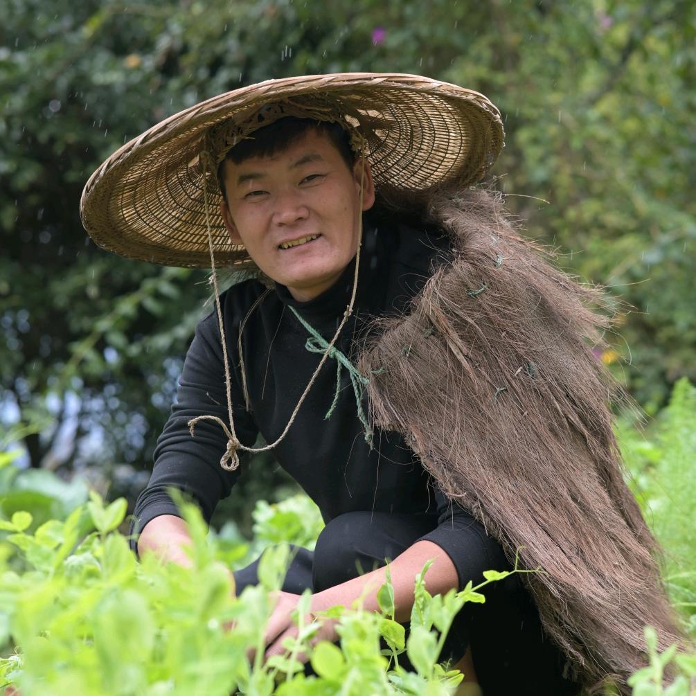王平（云南）