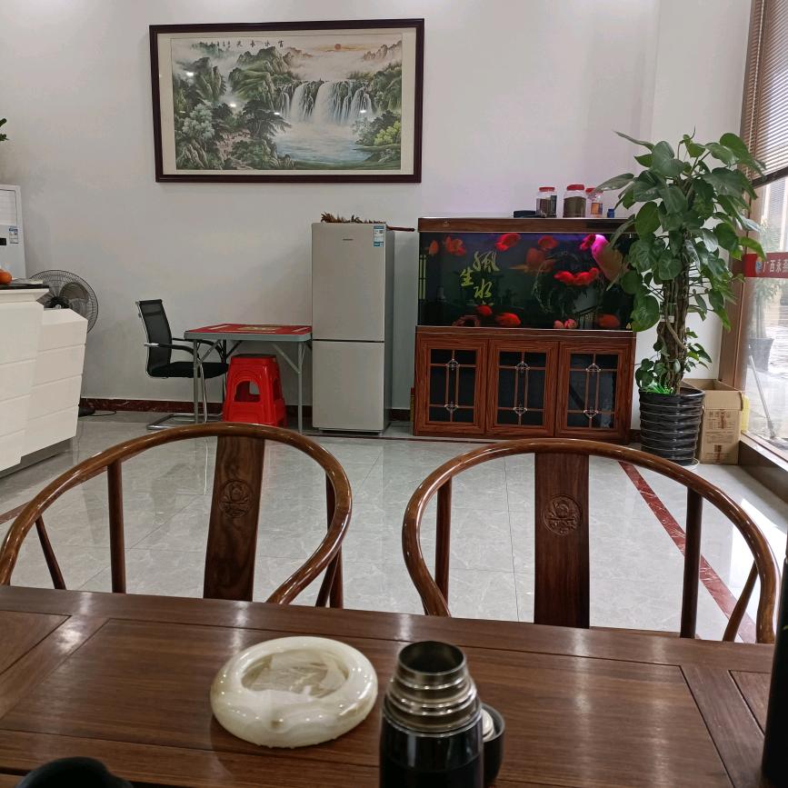 柳柳