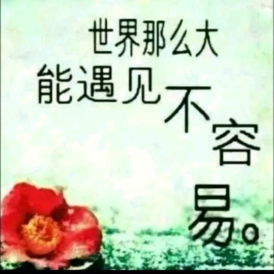 一切随缘🌹🌹