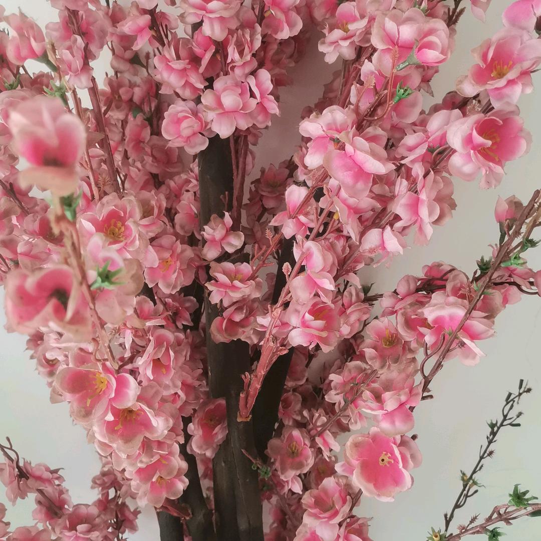 随意