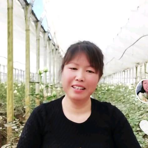 彩虹🌺