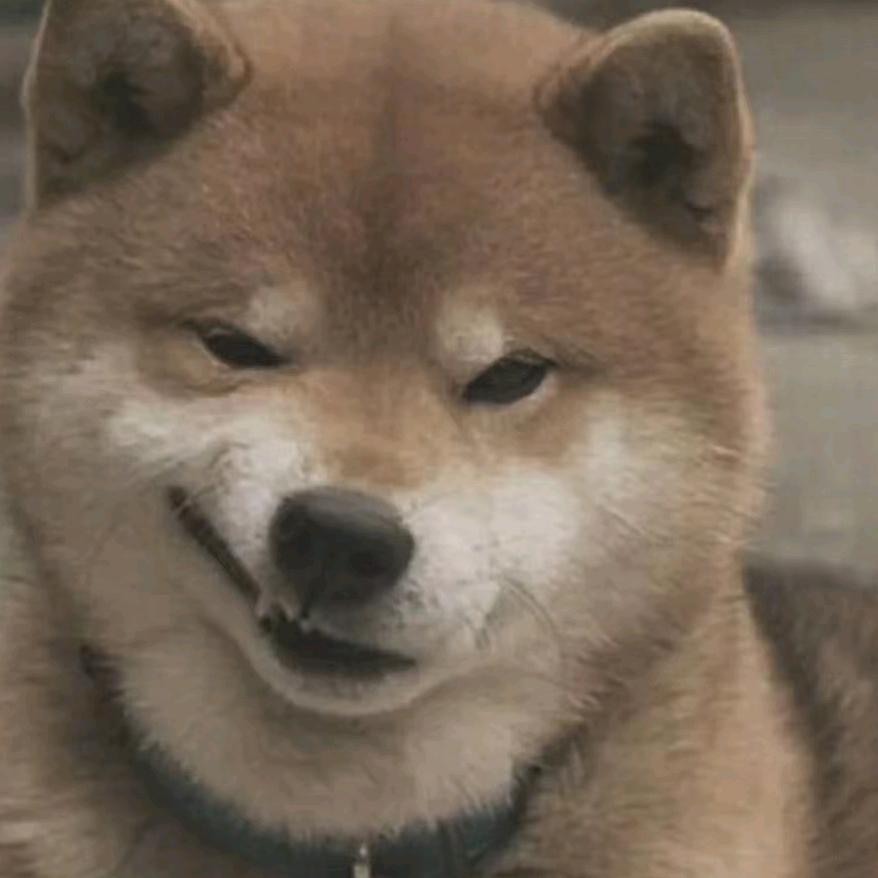 毛猴猴🐵