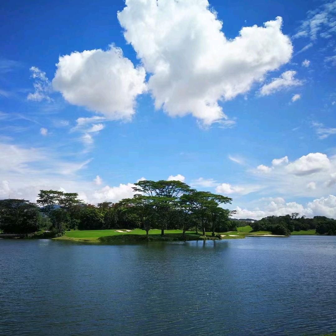 杨光人力