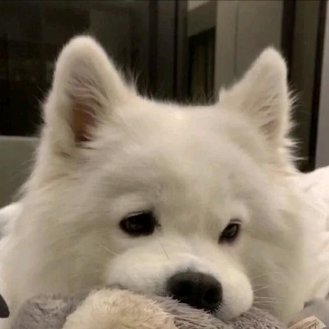 ₂₀²¹初心⁹.₁₅♡