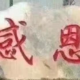 感恩的心《洈水》