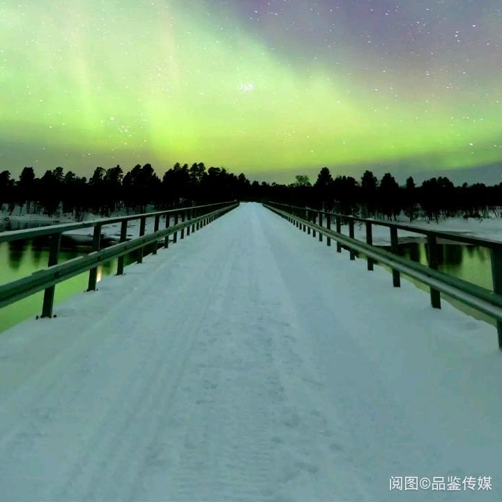 夏雪