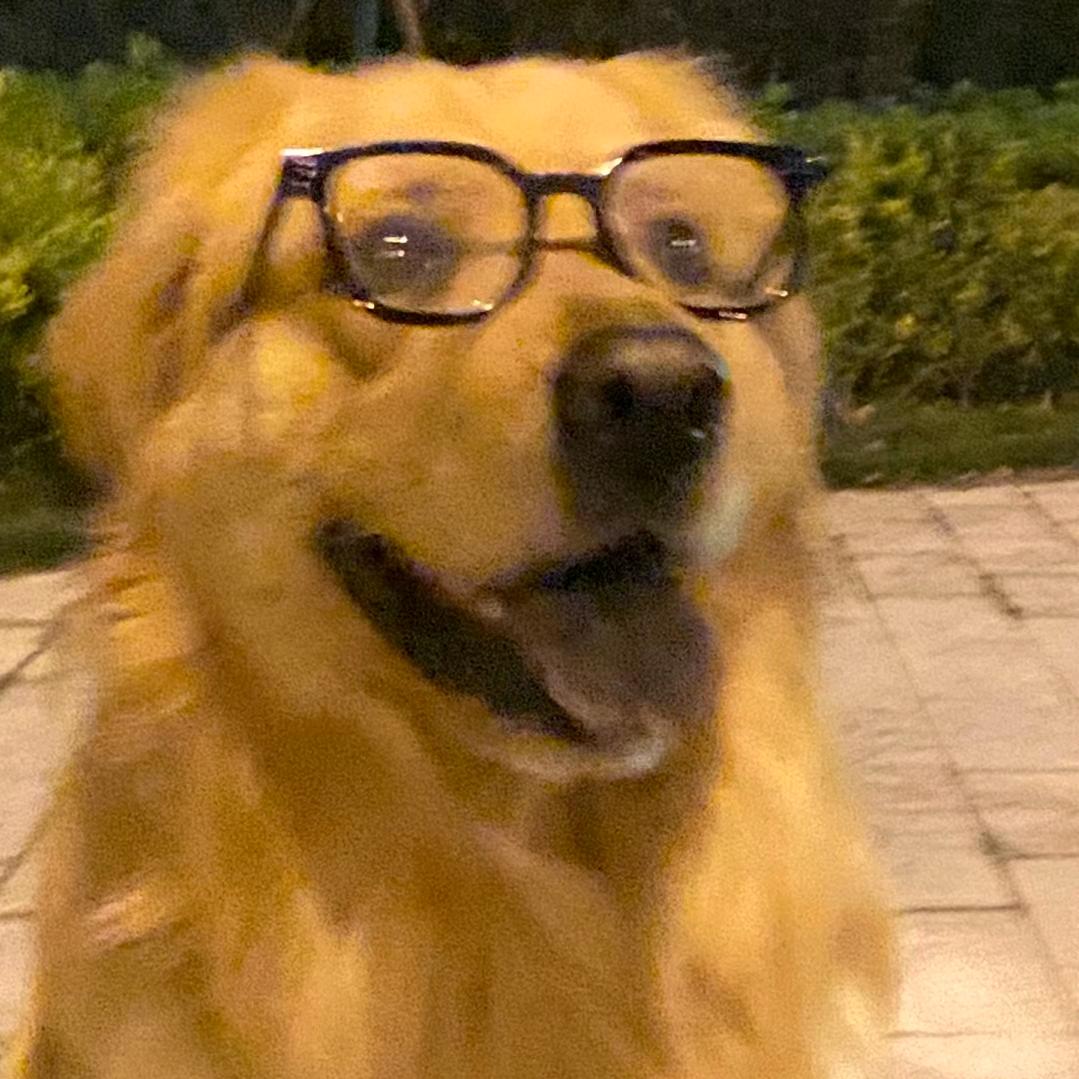 清世与光