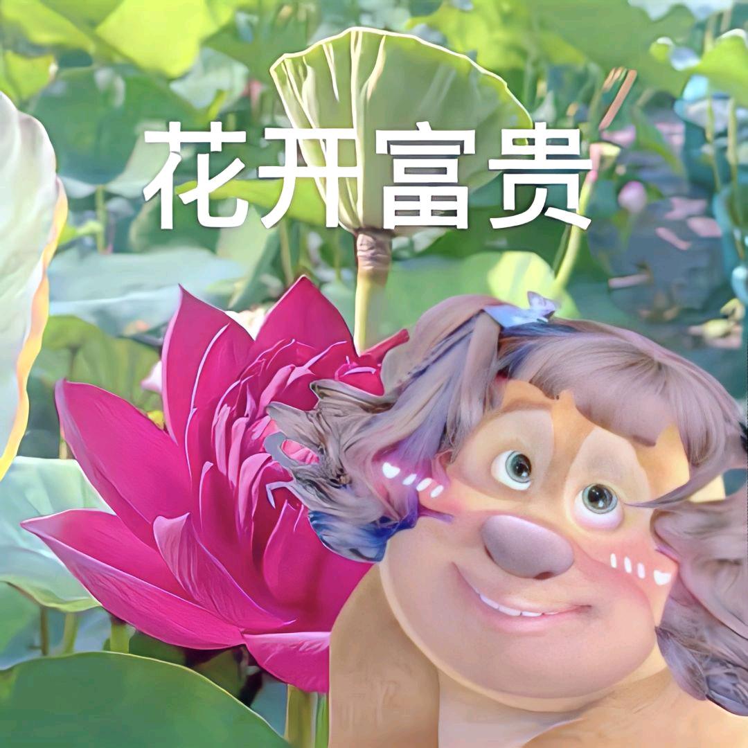 小黄好困💤