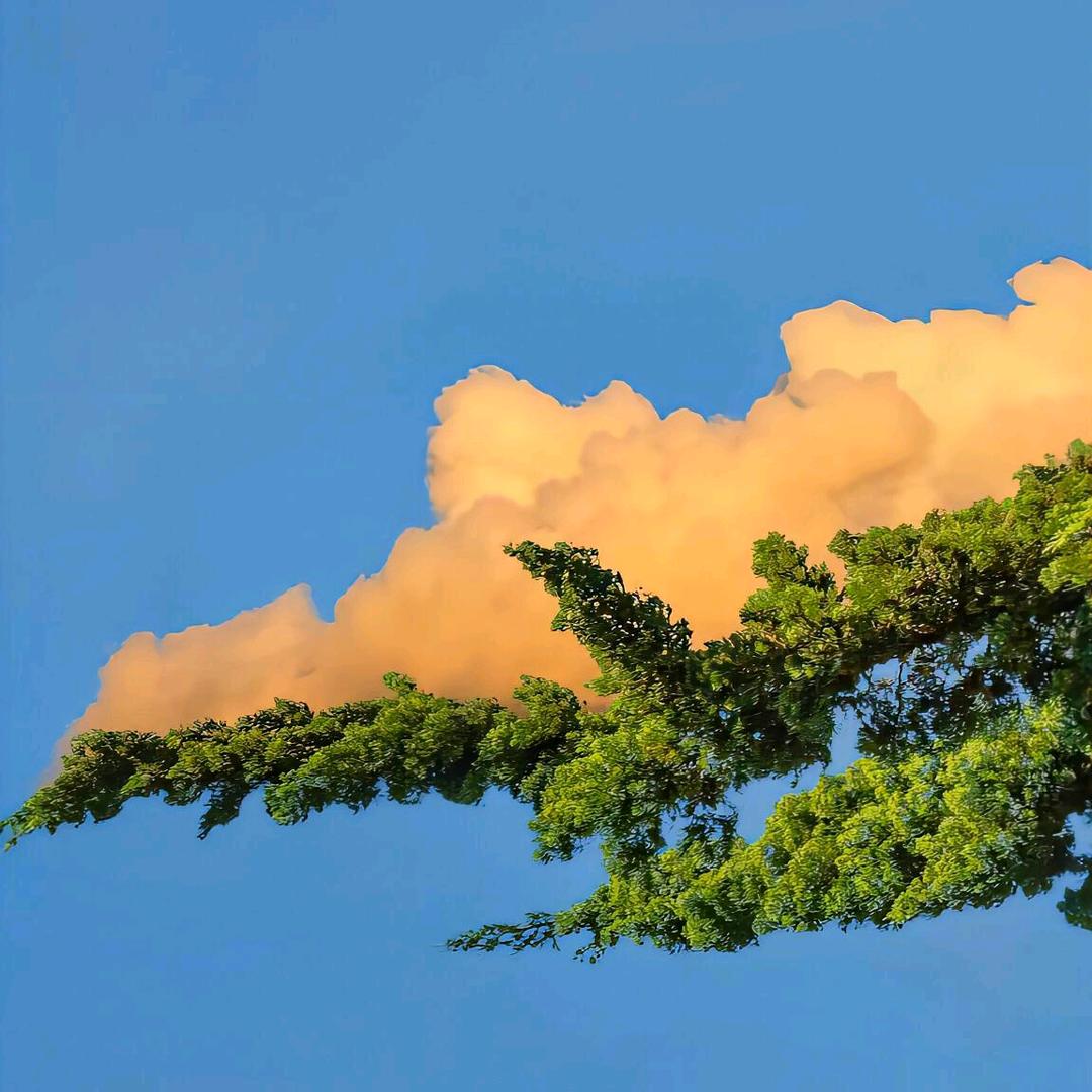 任丘市宝贝足迹📷