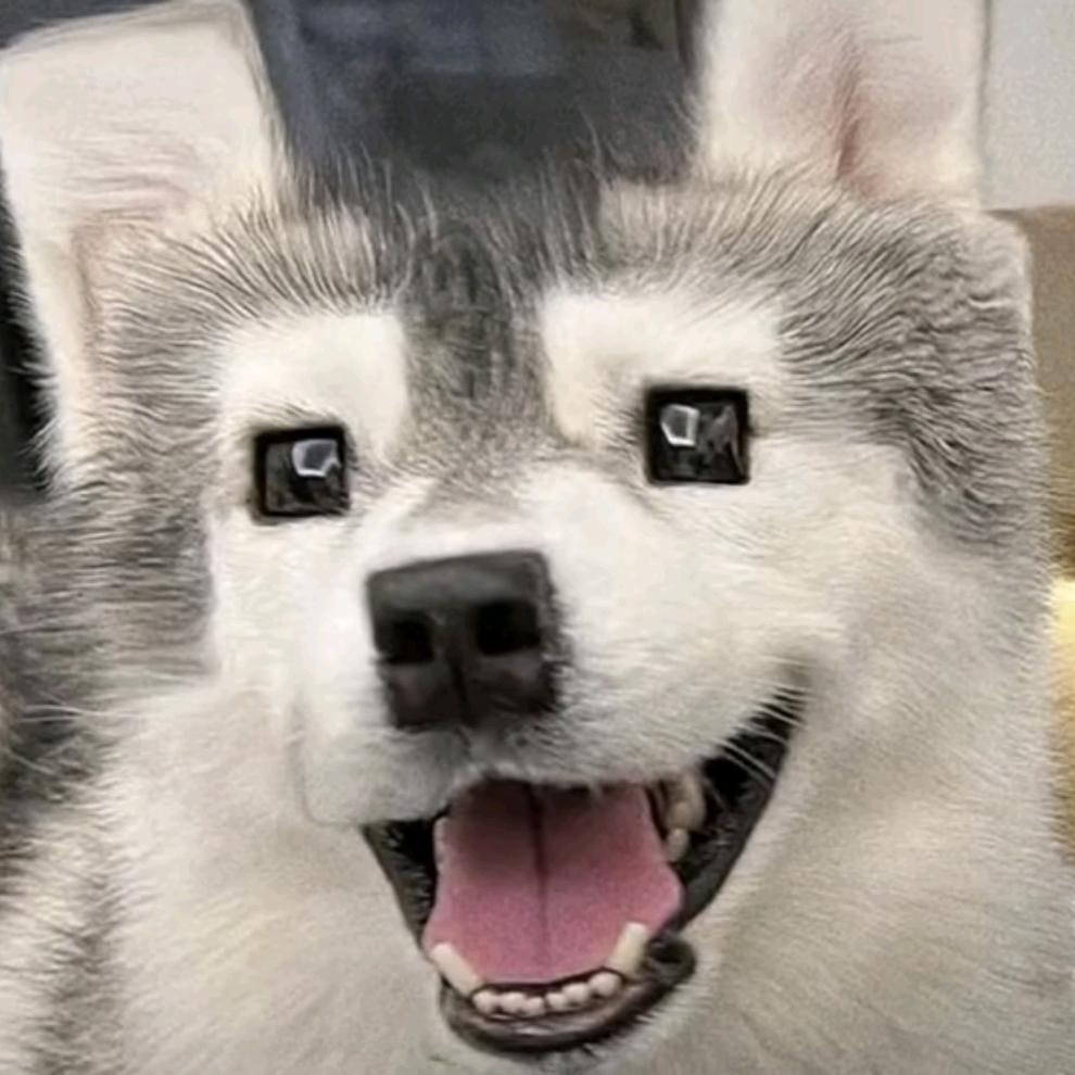 大芬达可乐
