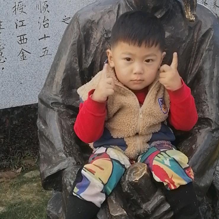 🐭感悟人生