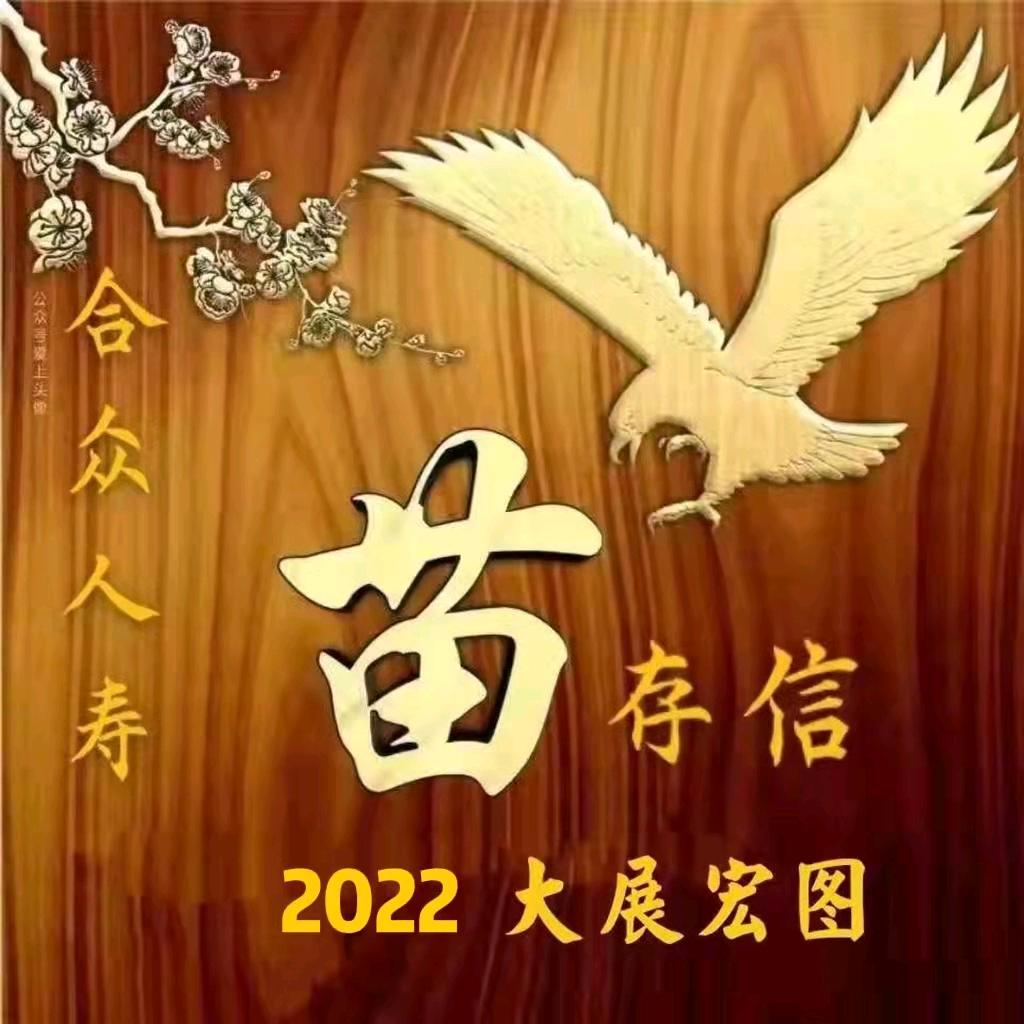 惟苗未肖