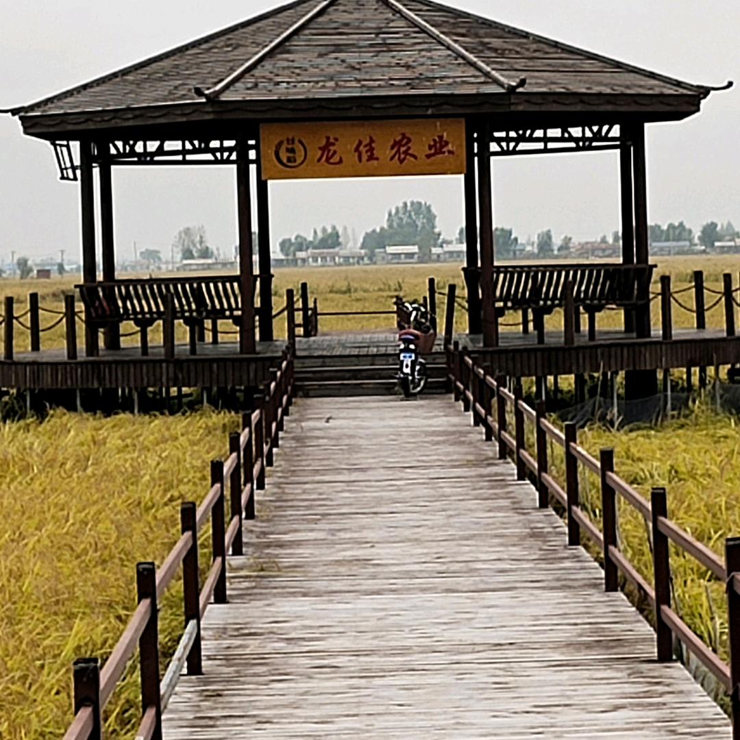 无不为农夫