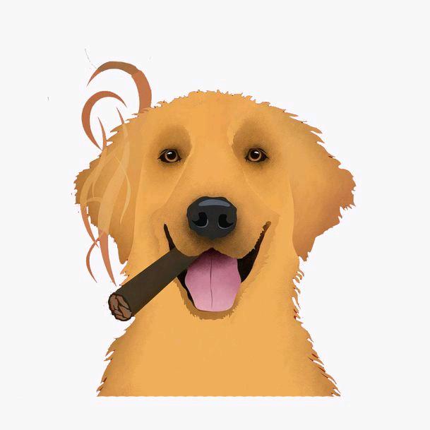 宋十三