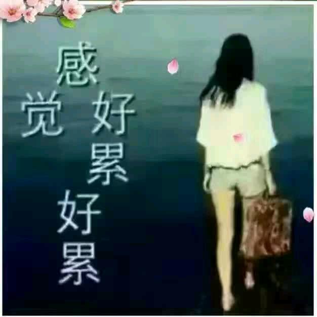 失去和拥有都由不得你