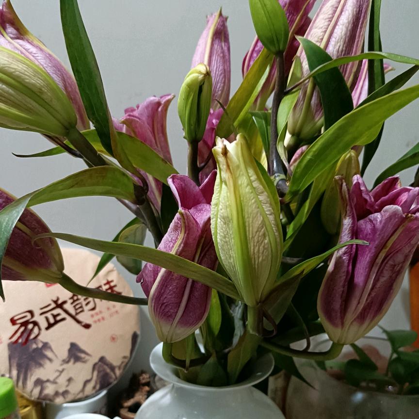 兴艺达