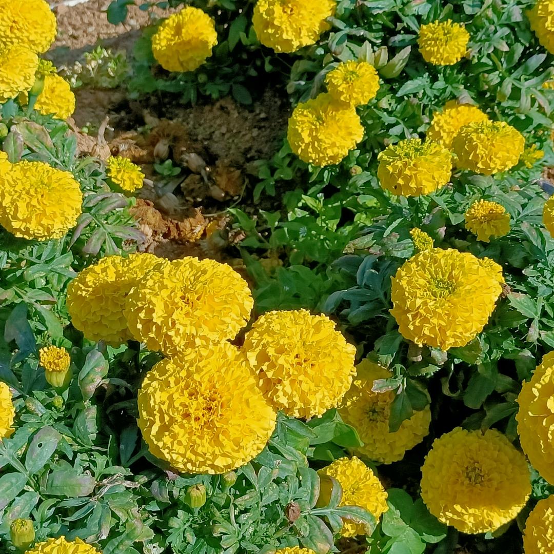 清风予我