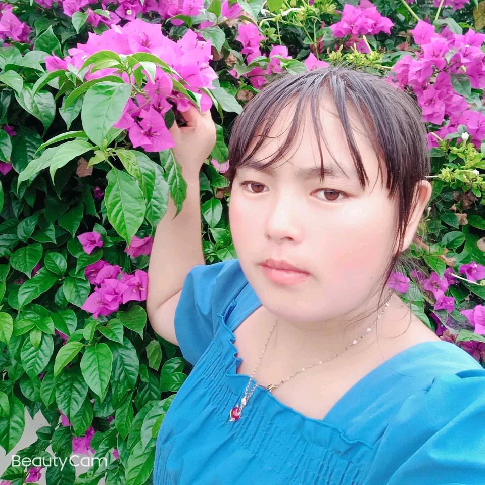 星皇