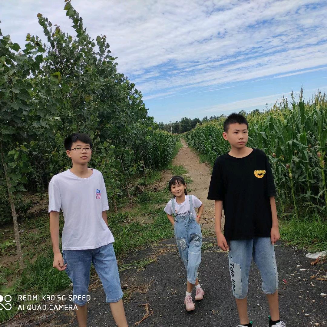 奋斗的青春
