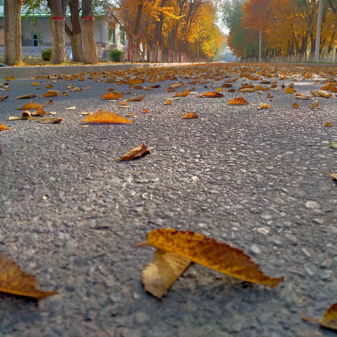 姐就是个小女人！