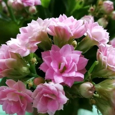 小一时空的花花世界