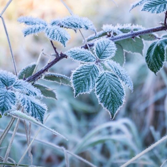 不专业的人干不专业的活