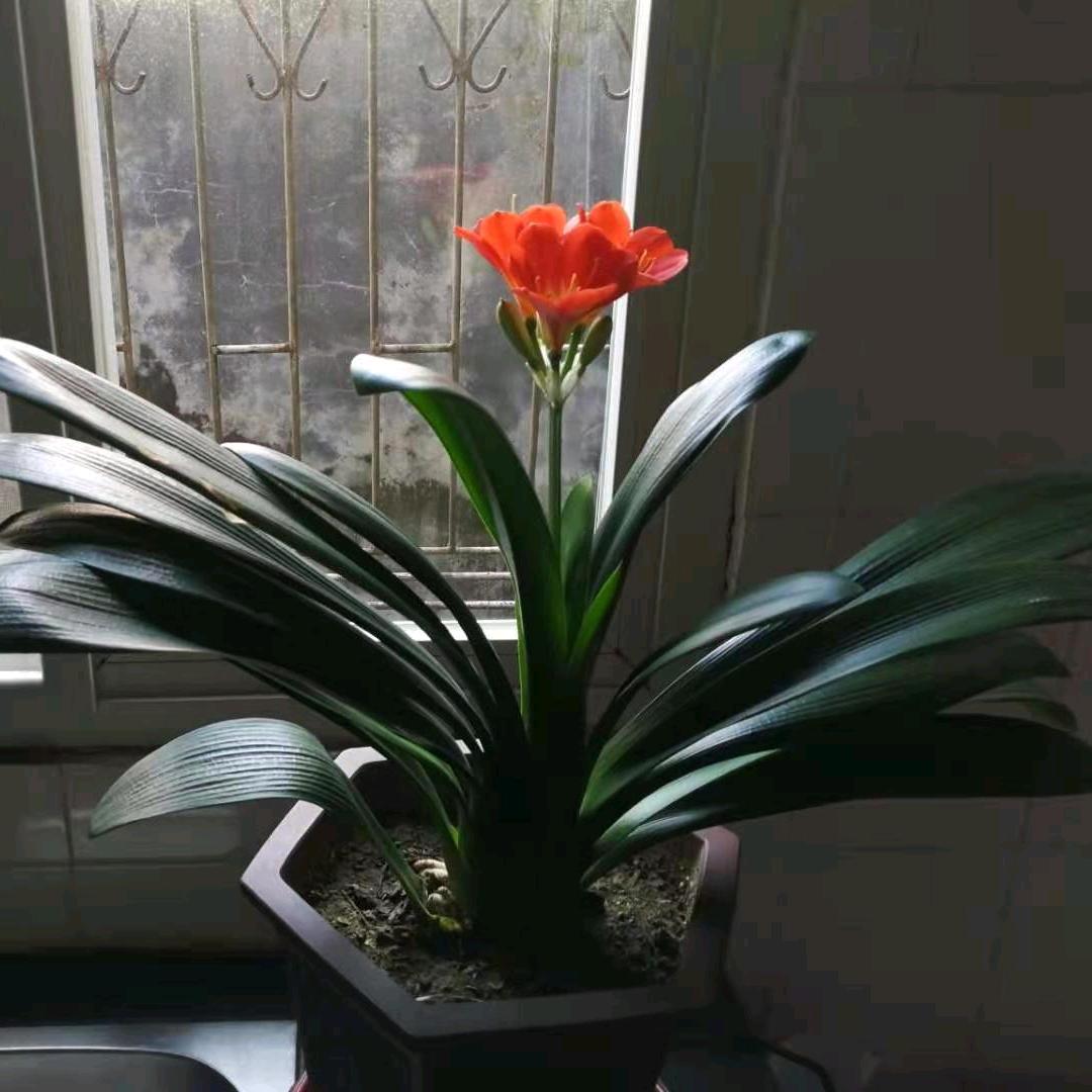 大明鞋业