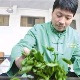 周胜春（席麦制茶）