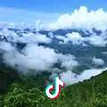 山鹰