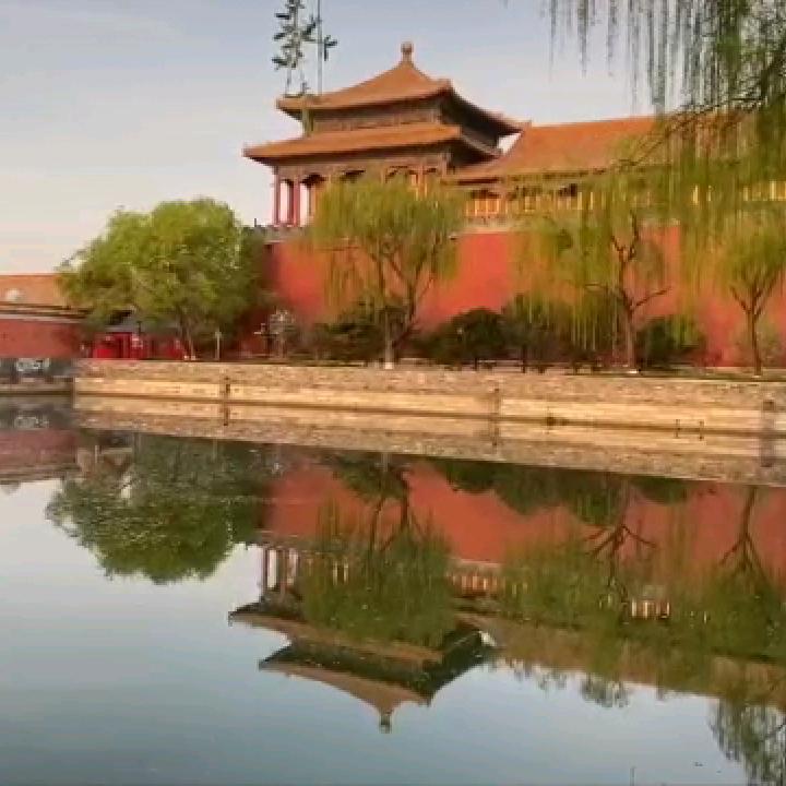 【顺其自然】