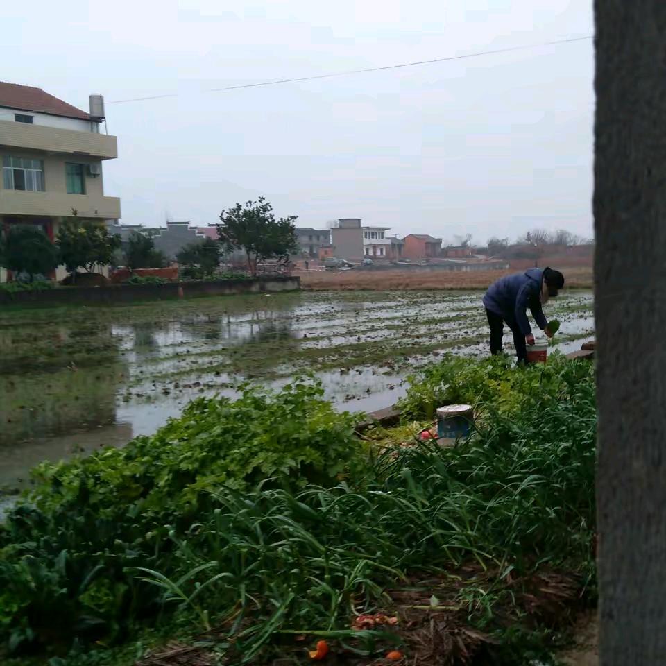 蔡路路(❁´◡`❁)*✲ﾟ*